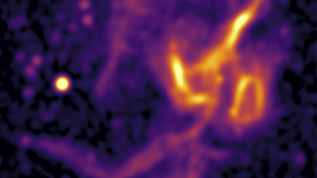 A raw image from MeerKAT's Galaxy Cluster Legacy Survey 