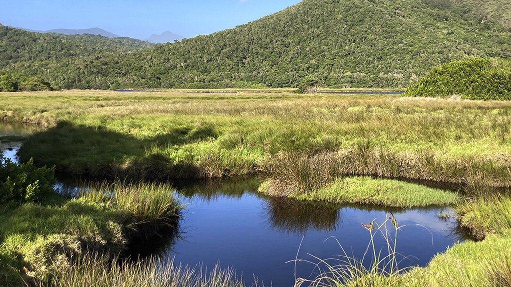 A photo of a wetland