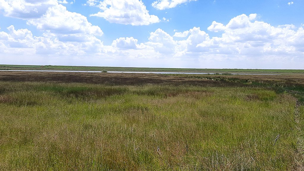 A photo of a piece of grassy land where the Gugulethu colliery will be situated. 