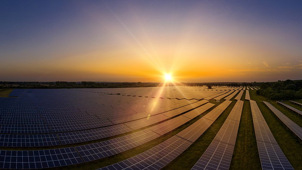 Image of a solar farm at sunrise