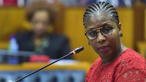 Public Service and Administration Minister Ayanda Dlodlo