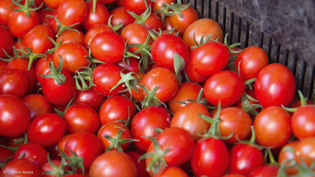 Tomatoes