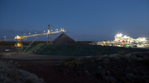 An image of the plant at night