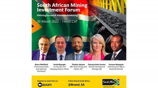 Is the South African Mining Industry investible? 