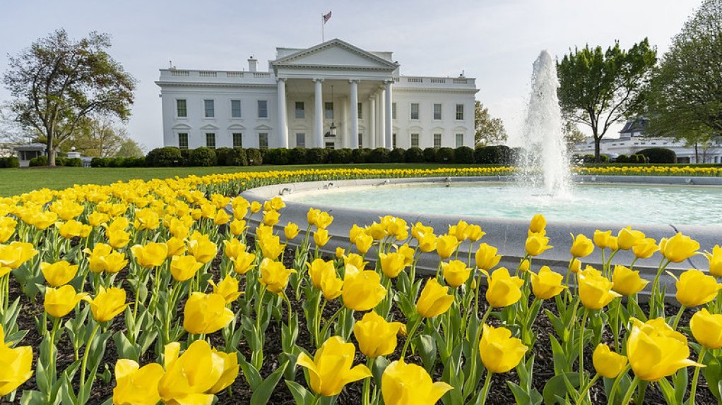 An image of the White House