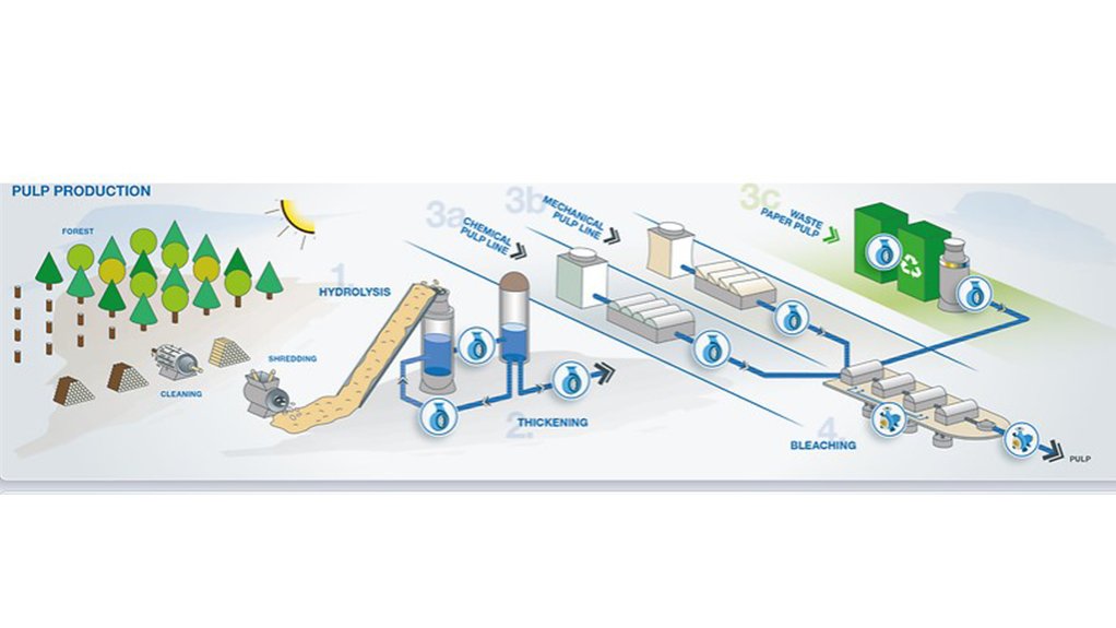 Image of an infographic showing the pulp production process 