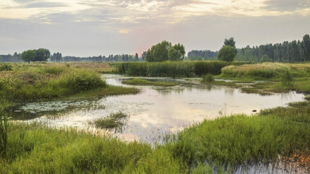 Wetland rehabilitation: Success or failure 