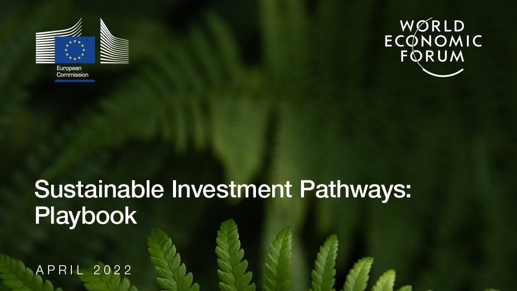 Sustainable Investment Pathways: Playbook 