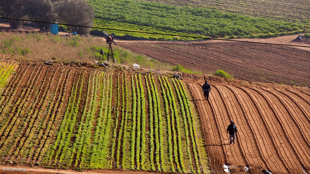Farm fields