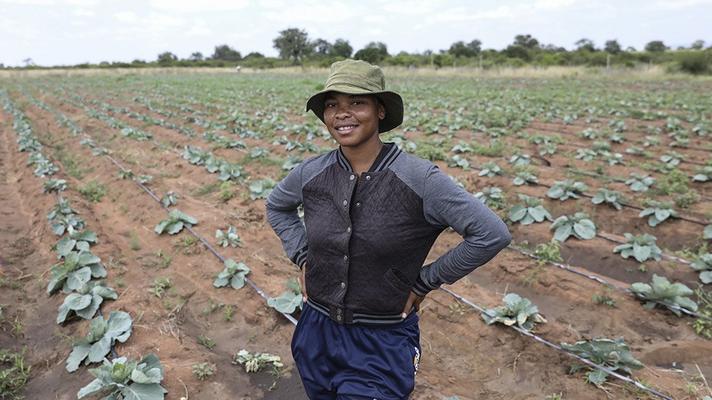 Limpopo entrepreneur goes from backyard garden to commercial farming