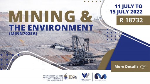 Wits Mining image
