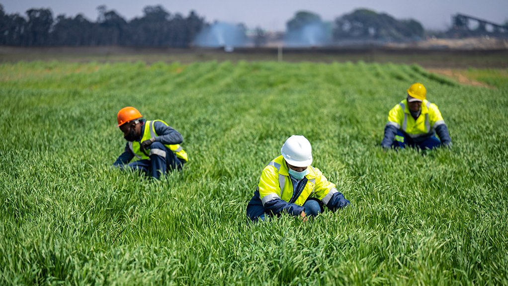 Workers tend to a field of winter wheat in front of a coal mine