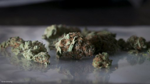 City of Joburg observes International Day Against Drug Abuse and Illicit Trafficking