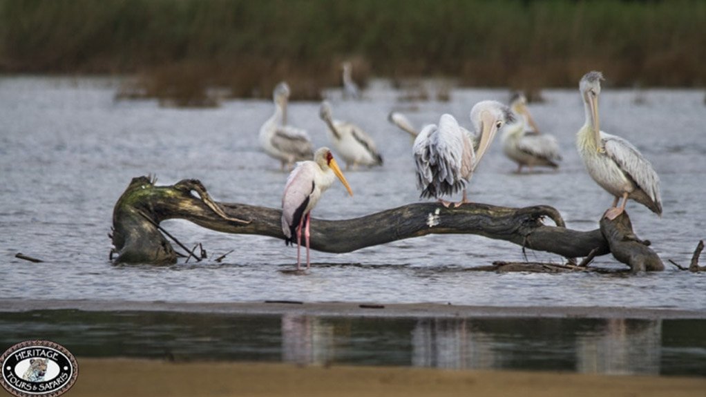 Integrated Coastal Management Act and its relevance to estuaries