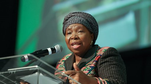 Dlamini-Zuma proposes skills exchange between municipalities to aid poor-performing councils 