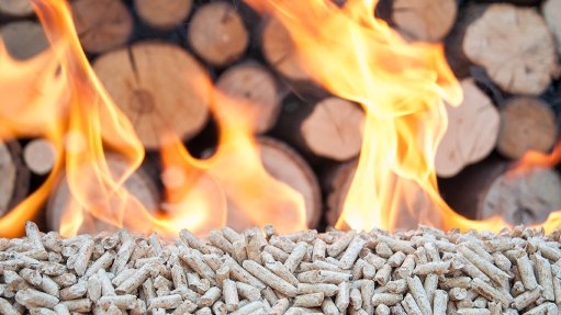 KINDLING DEVELOPMENT
The Department of Trade, Industry and Competition is running a working group for the promotion of timber construction to encourage investment in the mass timber manufacturing capacity 
