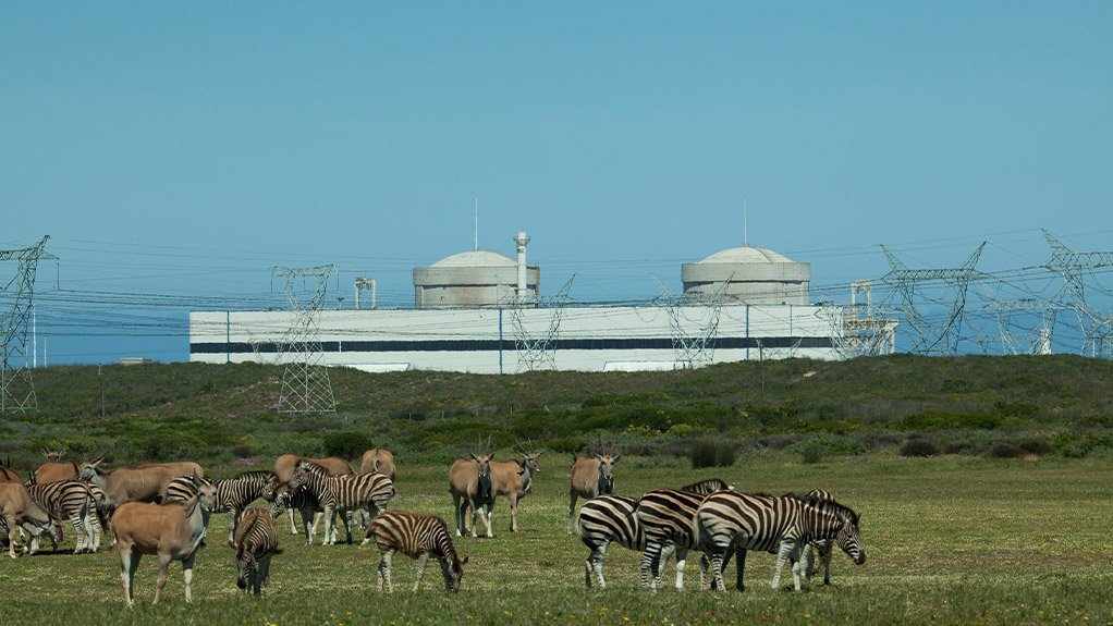 Koeberg Koeberg nuclear power station with zebras in the foreground