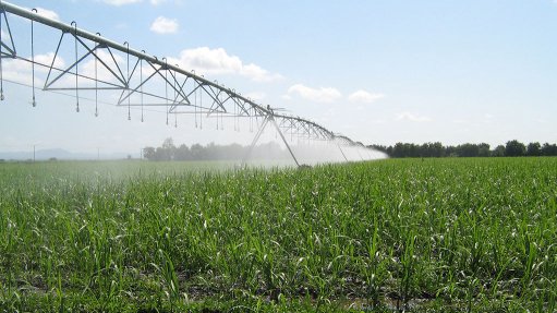 Irrigation in farmland