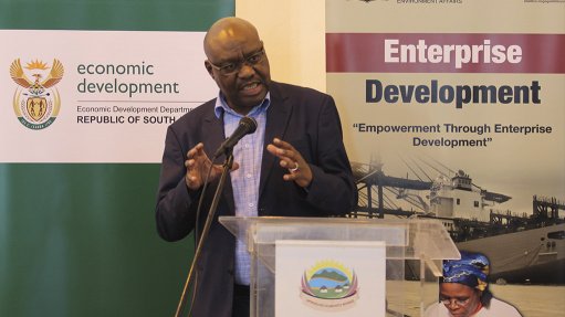 Deputy Minister of Trade, Industry and Competition Fikile Majola