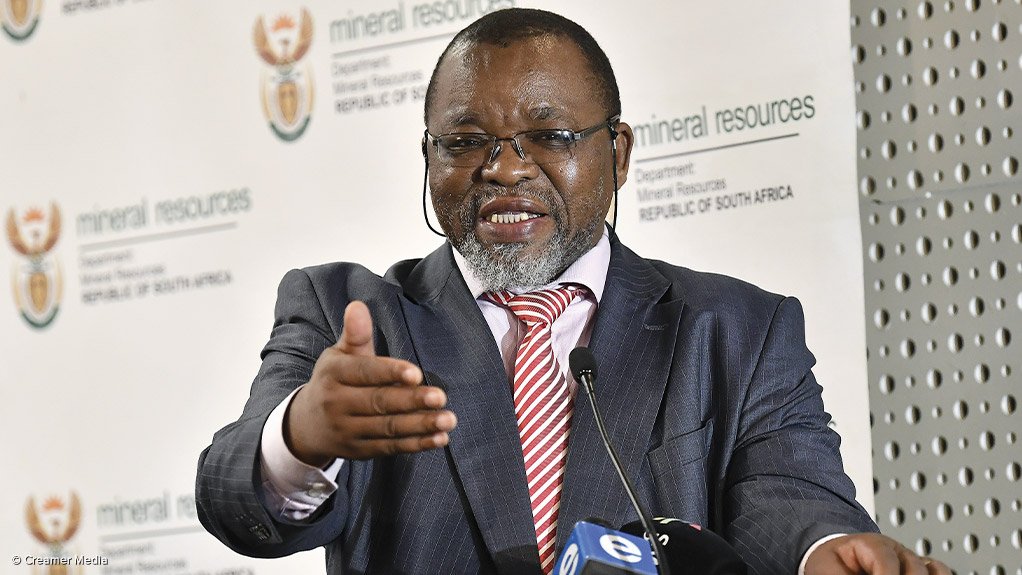 Mineral Resources and Energy Minister Gwede Mantashe