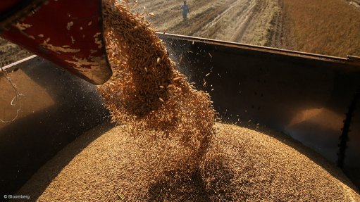 A photo of grain farming operations