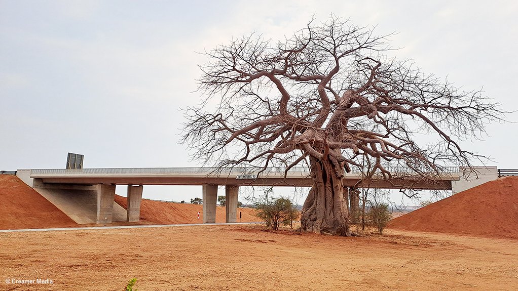 An image of a baobab tree next to the Musina Ring Road project