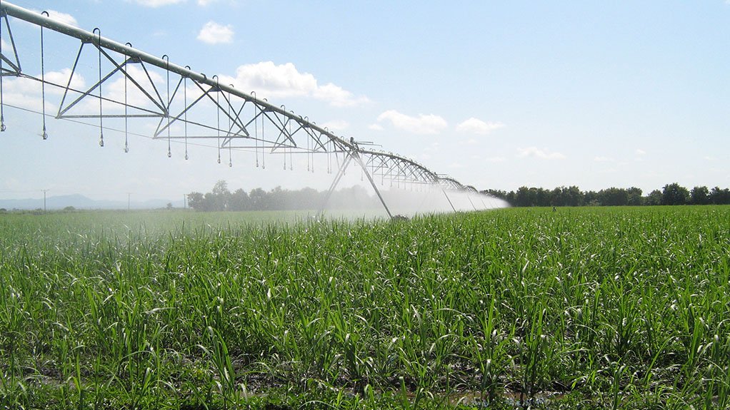 A photo of crops being irrigated