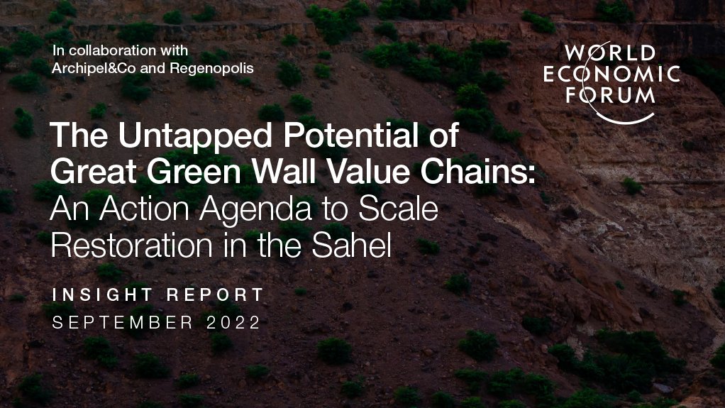 The Untapped Potential of Great Green Wall Value Chains: An Action Agenda to Scale Restoration in the Sahel 