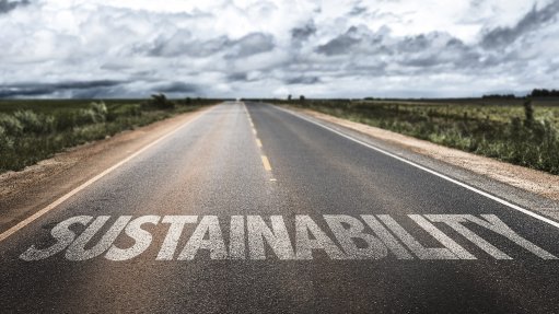 Sustainability for the next century: Looking back to move forward