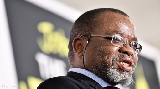  'Majority of illegal miners can't be classified as small fish’ - Mantashe 