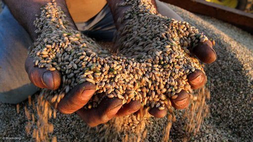 IFC backs food supply chain strengthening initiative in West, Central Africa