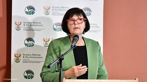 Forestry, Fisheries and the Environment Minister Barbara Creecy 