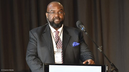 Naamsa CEO Mikel Mabasa