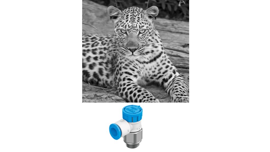 A Black and white image of a leopard place above a blue festo one-way flow control valve VFOE