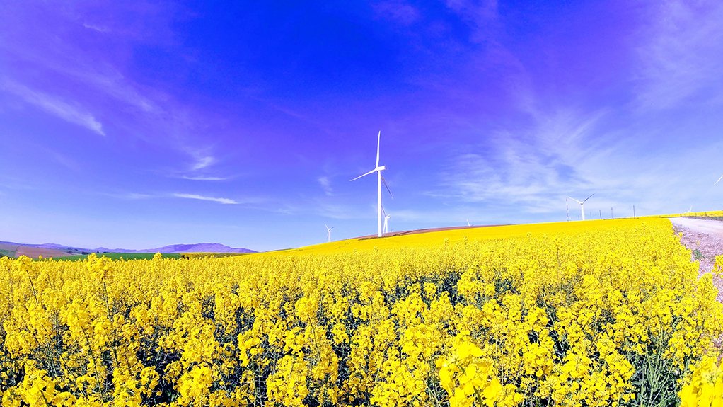 A wind farm in South Africa