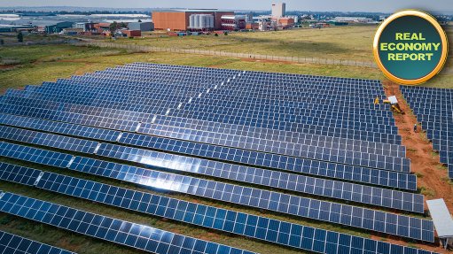 Heineken unveils solar power plant