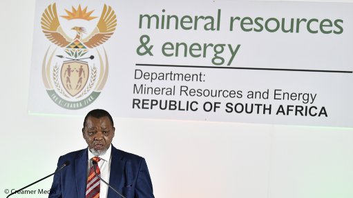 Mineral Resources and Energy Minister Gwede Mantashe at the IPP Office on December 8