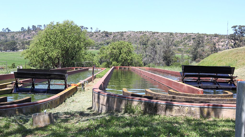 An image of Rhodes University Institute for Environmental Biotechnology