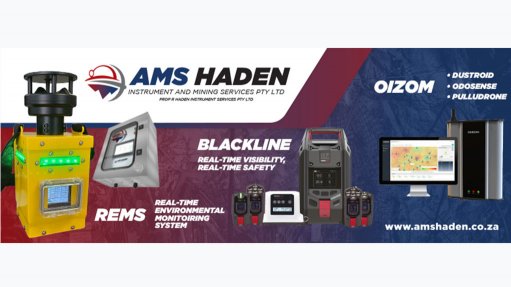 AMS Haden Instrument & Mining Services (pty) Ltd
