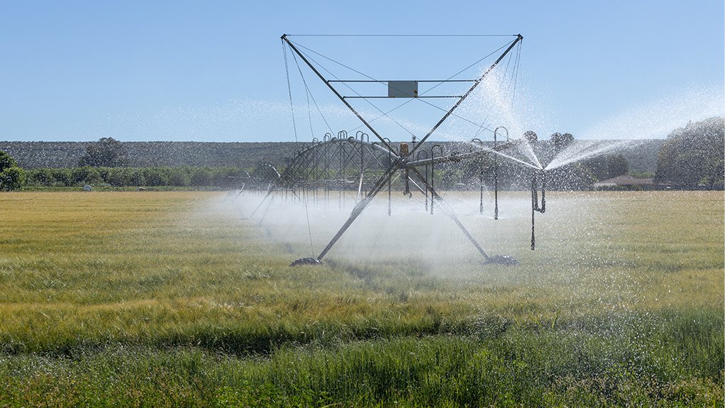 A wheat field equipped with an irrigation system.