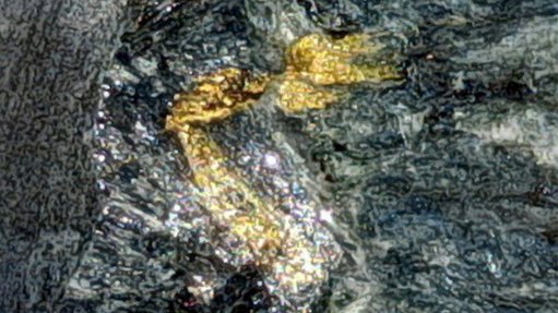 gold mineral sample