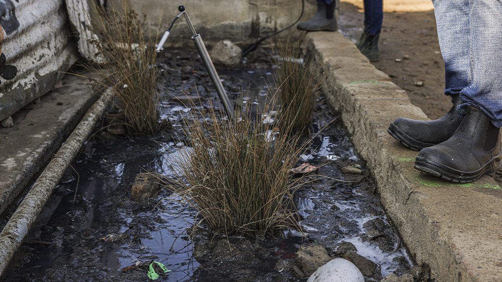 An image of the constructed wetland 