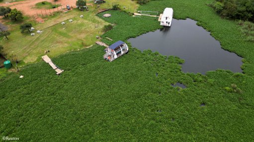 South African scientists use bugs in war against water hyacinth weed