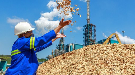 A worker in blue overalls throws material from a heap of wood chips into the air. Saiccor mill in the background