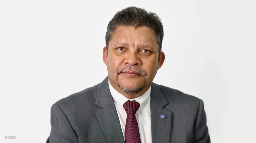 An image of Consulting Engineers South Africa (Cesa) CEO Chris Campbell