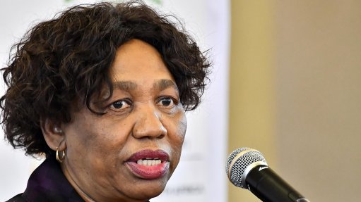 Minister Motshekga misleads the nation on pit toilets