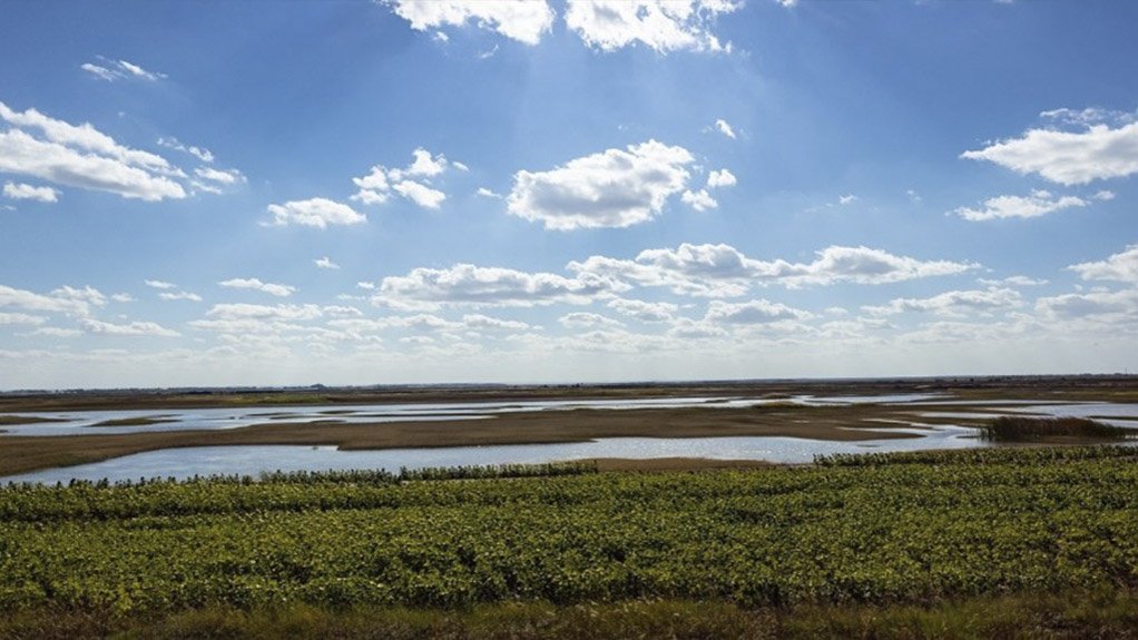 Wetland Monitoring during the Construction and Post-Construction (Rehabilitation) Phases and the Methods used