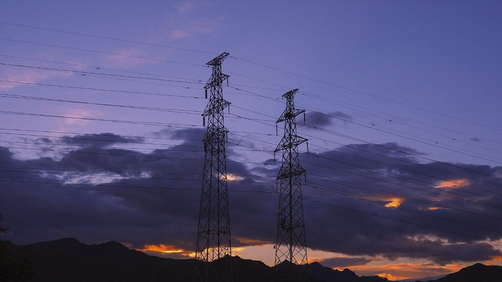 The Impacts of Overhead Powerlines on Avifaunal Species