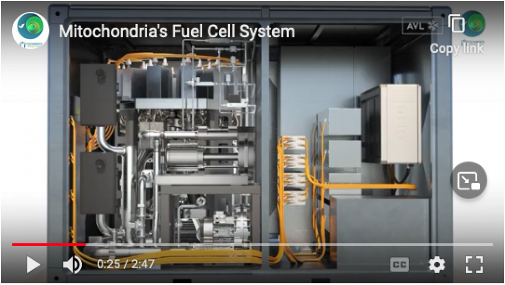 Mitochondria fuel cell.