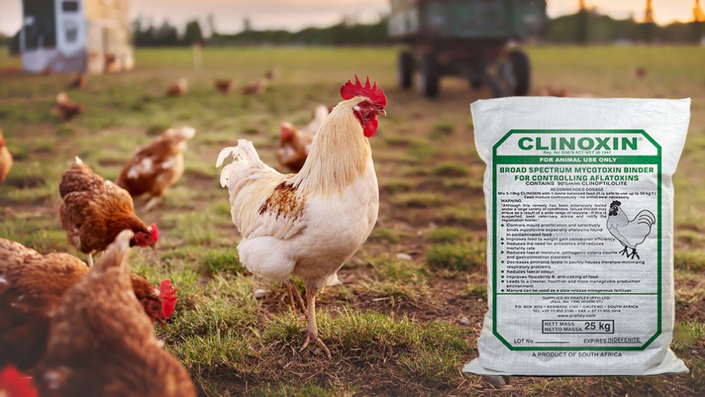 REGISTERED PRODUCT
Clinoxin and clinomix are registered stock remedies with the South African Department of Agriculture